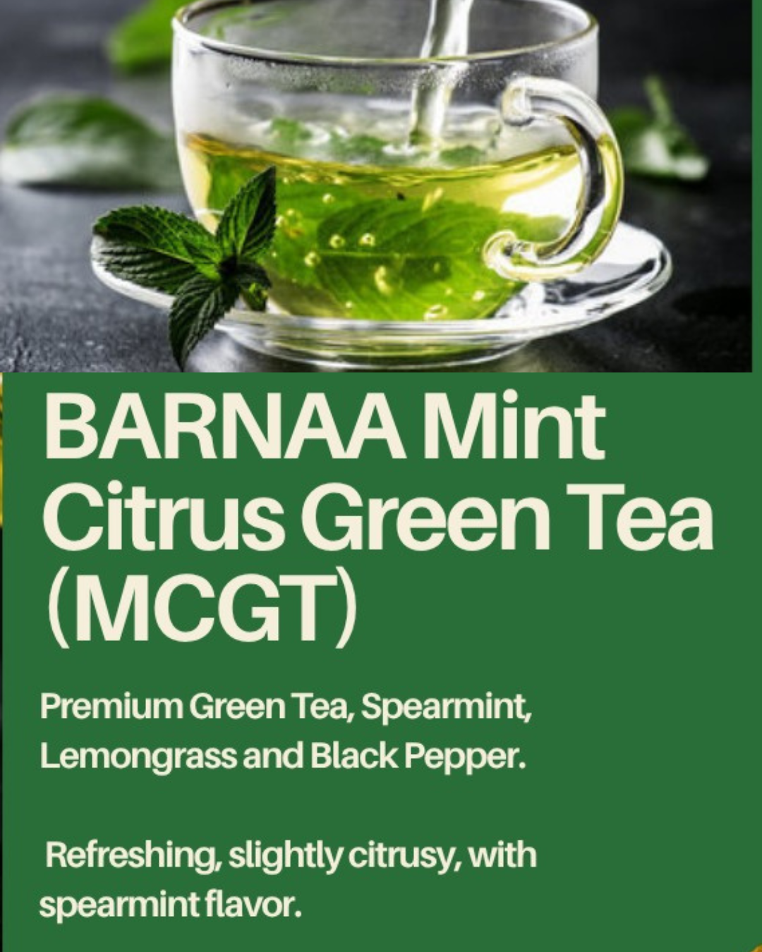 BARNAA MINT CITRUS GREEN TEA (MCGT) || A HERBAL GREEN TEA- BLEND OF GREEN TEA, SPEARMINT, LEMONGRASS, BLACK PEPPER || RICH ANTIOXIDANT ||