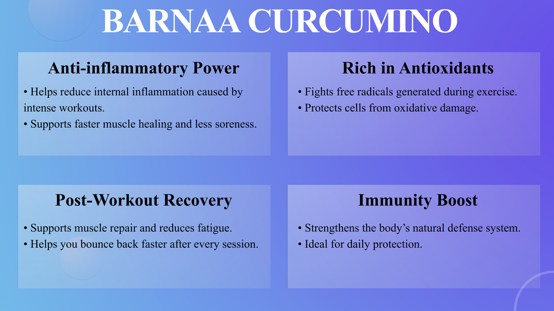 BARNAA CURCUMINO -Natural Immunity & Anti-inflammatory Wellness Drink | antioxidant + post workout recovery